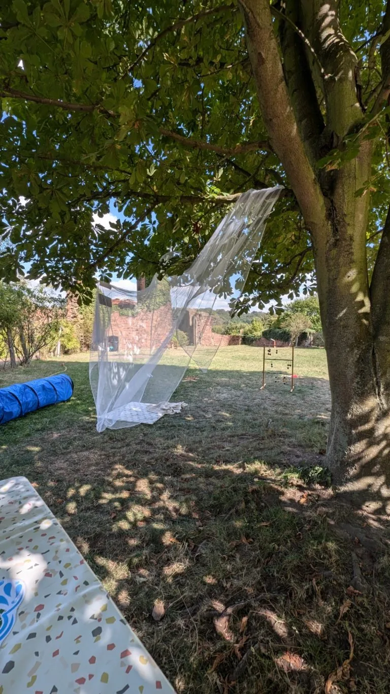 Hochzeit Klosterruine Heiligkreuz – Eindruck 4 von 20